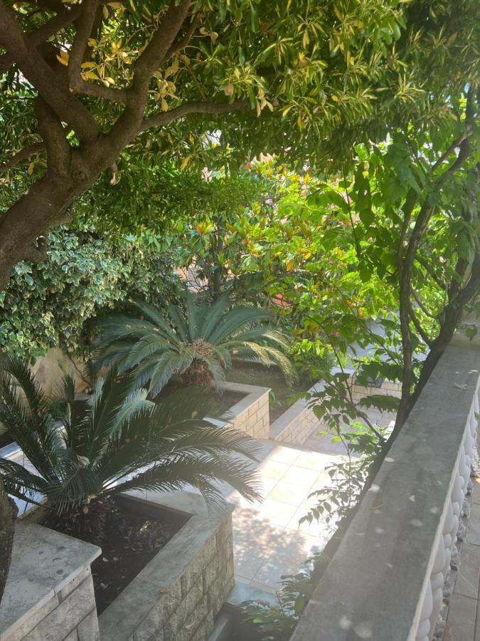 Apartments Boreta II بودفا المظهر الخارجي الصورة